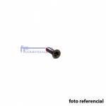 RPTO. WS061020 SANT